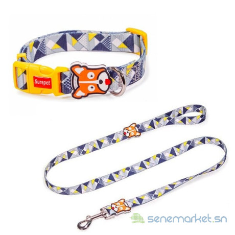 ensemble-de-collier-et-laisse-pour-petit-chien-big-0
