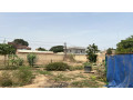 terrains-de-300-metres-carres-a-mbour-centre-ville-small-0