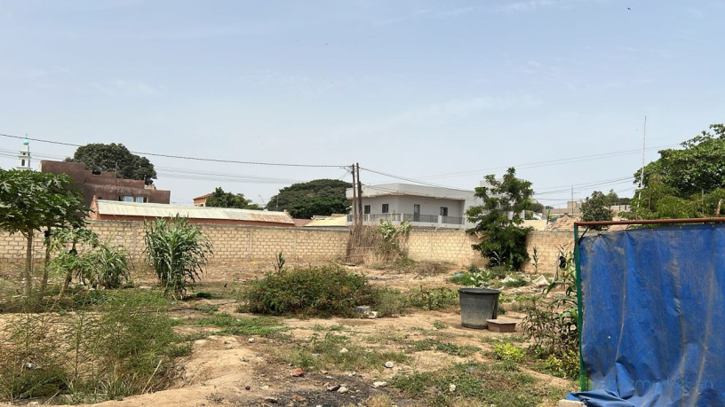 terrains-de-300-metres-carres-a-mbour-centre-ville-big-0