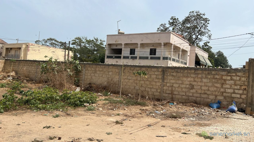 terrains-de-300-metres-carres-a-mbour-centre-ville-big-1