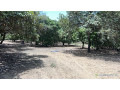 terrains-de-300-metres-carres-a-vendre-a-saly-senegal-small-1