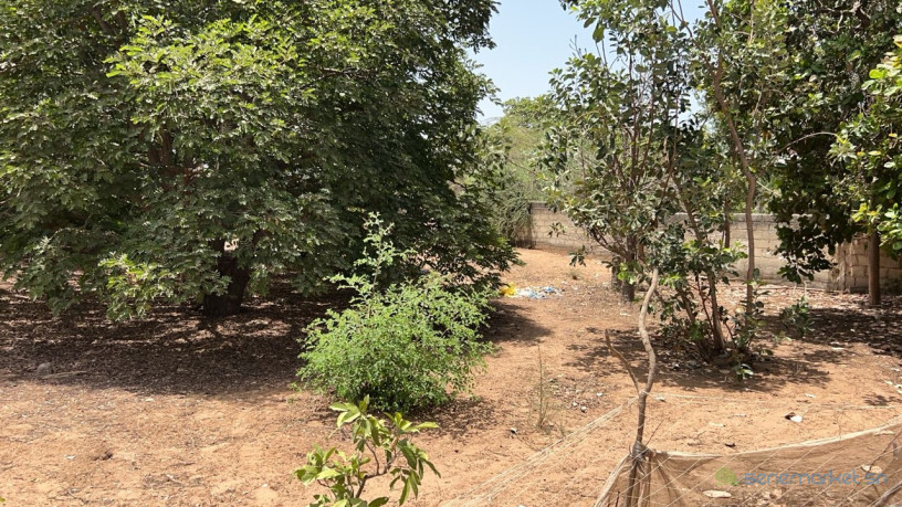 terrains-de-300-metres-carres-a-vendre-a-saly-senegal-big-0