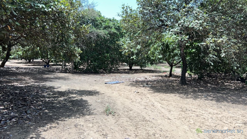 terrains-de-300-metres-carres-a-vendre-a-saly-senegal-big-1