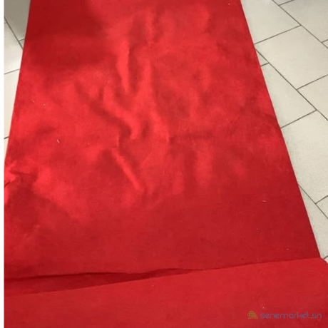 location-de-tapis-rouge-et-potelets-sur-dakar-big-0