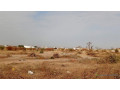 terrains-de-225-metres-carres-a-vendre-a-saly-keur-youngar-small-2