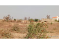 terrains-de-225-metres-carres-a-vendre-a-saly-keur-youngar-small-0