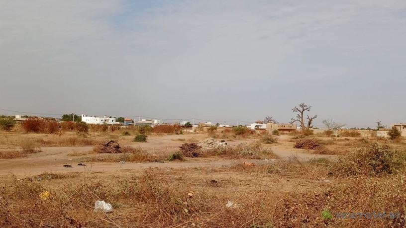 terrains-de-225-metres-carres-a-vendre-a-saly-keur-youngar-big-2