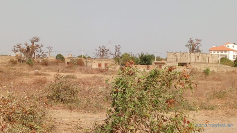 terrains-de-225-metres-carres-a-vendre-a-saly-keur-youngar-big-0
