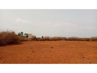 Terrains de 225 mètres carrés à vendre à Sindia kignabour Sénégal