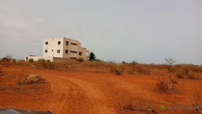 terrains-de-225-metres-carres-a-vendre-a-sindia-kignabour-senegal-big-2