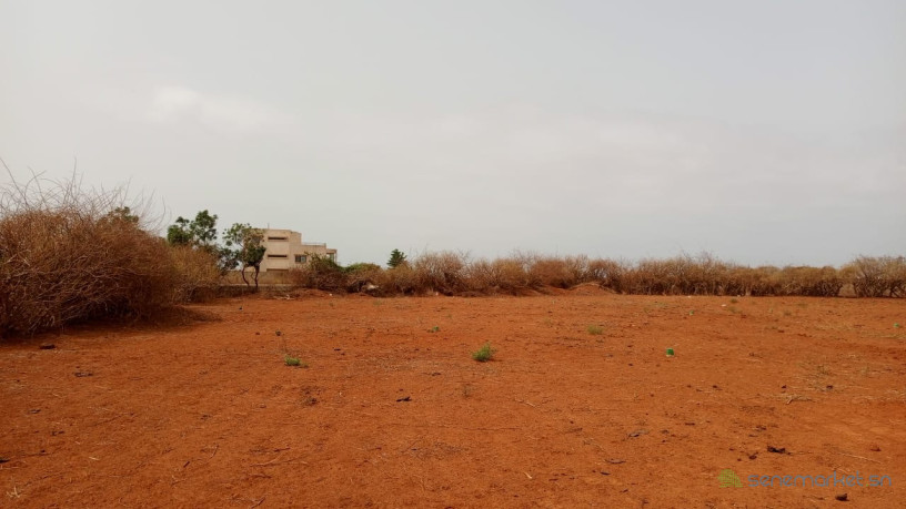 terrains-de-225-metres-carres-a-vendre-a-sindia-kignabour-senegal-big-0