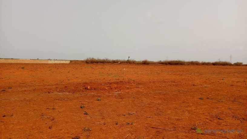 terrains-de-225-metres-carres-a-vendre-a-sindia-kignabour-senegal-big-1