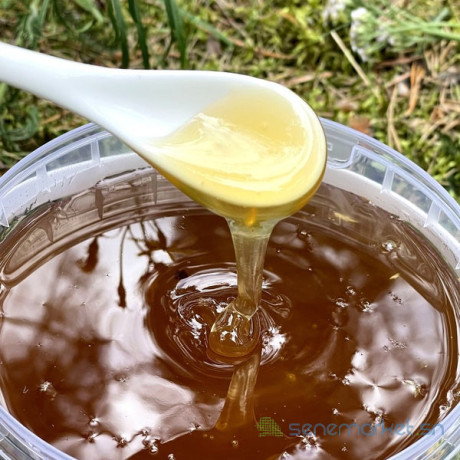 miel-brut-100-naturel-du-yemen-big-1