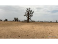terrain-agricole-de-2-hectares-et-demi-a-louly-senegal-small-1