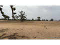terrain-agricole-de-2-hectares-et-demi-a-louly-senegal-small-0