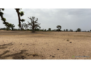 Terrain agricole de 2 hectares et demi à Louly Sénégal