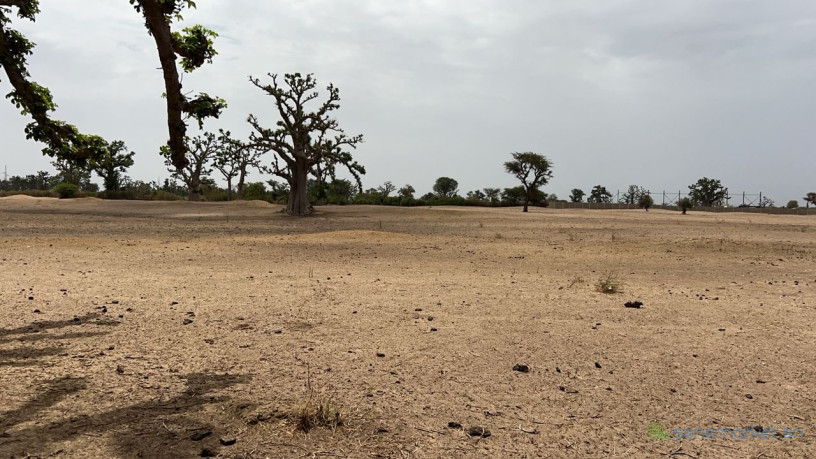 terrain-agricole-de-2-hectares-et-demi-a-louly-senegal-big-0
