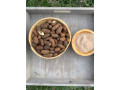 poudre-petit-cola-small-1