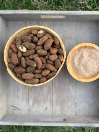 poudre-petit-cola-big-1