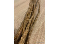 racines-de-vetiver-gongoli-khamare-small-1