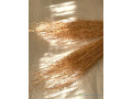 bouquet-de-racines-de-vetiver-small-2