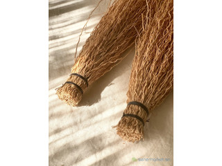 Bouquet de racines de vetiver