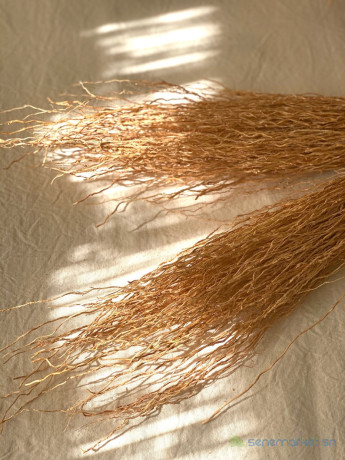 bouquet-de-racines-de-vetiver-big-2