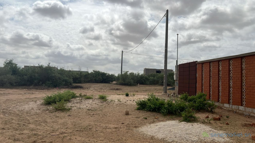 terrain-300-metres-carres-a-vendre-a-malicounda-big-2
