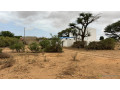terrains-de-450-metres-carres-a-saly-joseph-keur-youngar-small-0