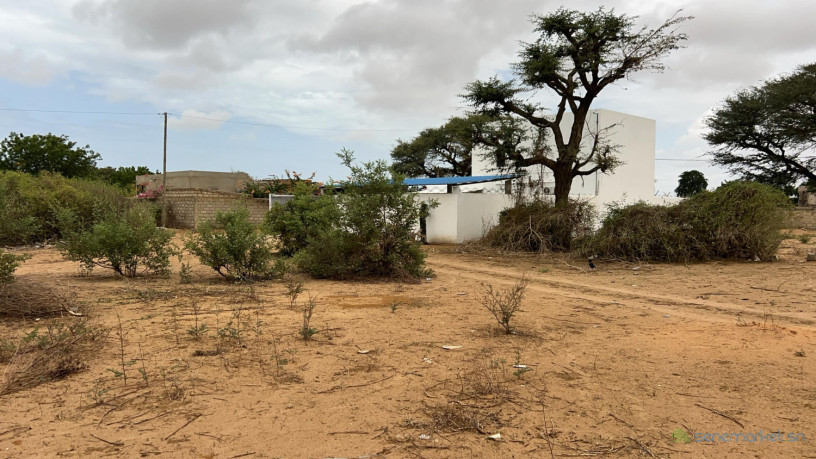 terrains-de-450-metres-carres-a-saly-joseph-keur-youngar-big-0