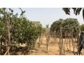 terrains-de-600-metres-carres-a-vendre-a-saly-senegal-small-1