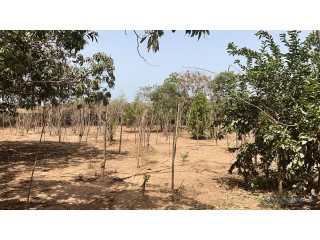 Terrains de 600 mètres carrés à vendre à Saly Sénégal