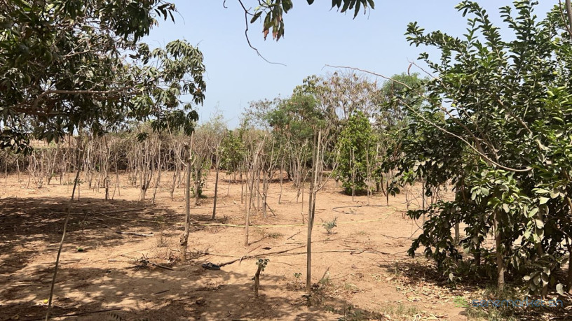 terrains-de-600-metres-carres-a-vendre-a-saly-senegal-big-0