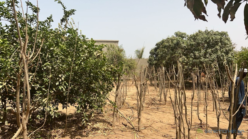 terrains-de-600-metres-carres-a-vendre-a-saly-senegal-big-1