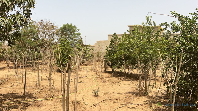 terrains-de-600-metres-carres-a-vendre-a-saly-senegal-big-2