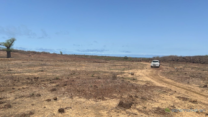 terrains-de-300m2-a-vendre-a-ndayane-gouye-cheikh-big-1