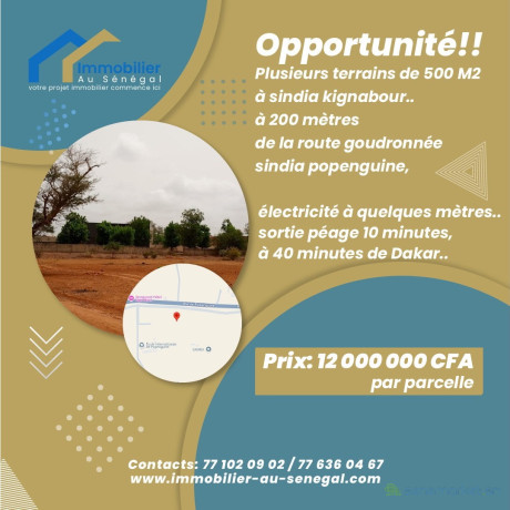 terrains-de-500-metres-carres-a-vendre-a-sindia-senegal-big-0