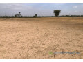 terrain-de-9-000-m2-vers-tassette-small-1