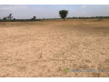 terrain-de-9-000-m2-vers-tassette-small-2