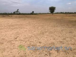 Terrain de 9 000 m² vers Tassette