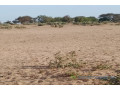 terrain-de-5-hectares-vers-notto-diobass-small-1