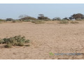 terrain-de-5-hectares-vers-notto-diobass-small-0