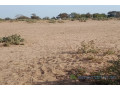 terrain-de-5-hectares-vers-notto-diobass-small-2