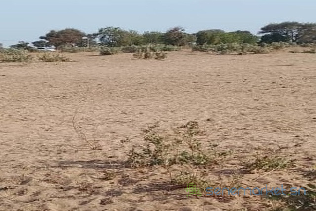 terrain-de-5-hectares-vers-notto-diobass-big-1