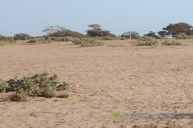 terrain-de-5-hectares-vers-notto-diobass-big-0