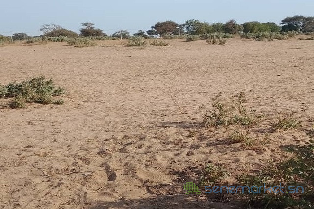 terrain-de-5-hectares-vers-notto-diobass-big-2