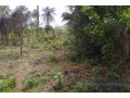 terrain-de-1-hectare-vers-kafountine-small-0