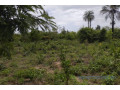 terrain-de-1-hectare-vers-kafountine-small-2