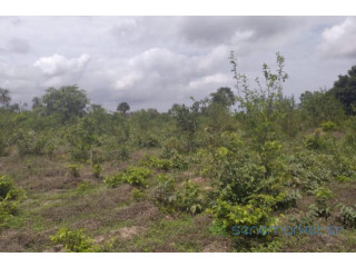 Terrain de 1 hectare vers Kafountine.