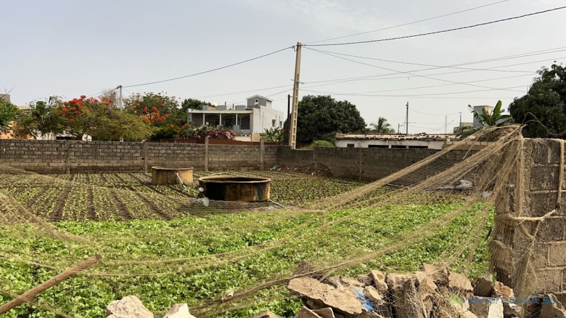 terrain-de-487-metres-carres-a-saly-senegal-big-2